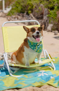 QUICK DRY BANDANA - ISLAND BREEZE GREEN RIVER