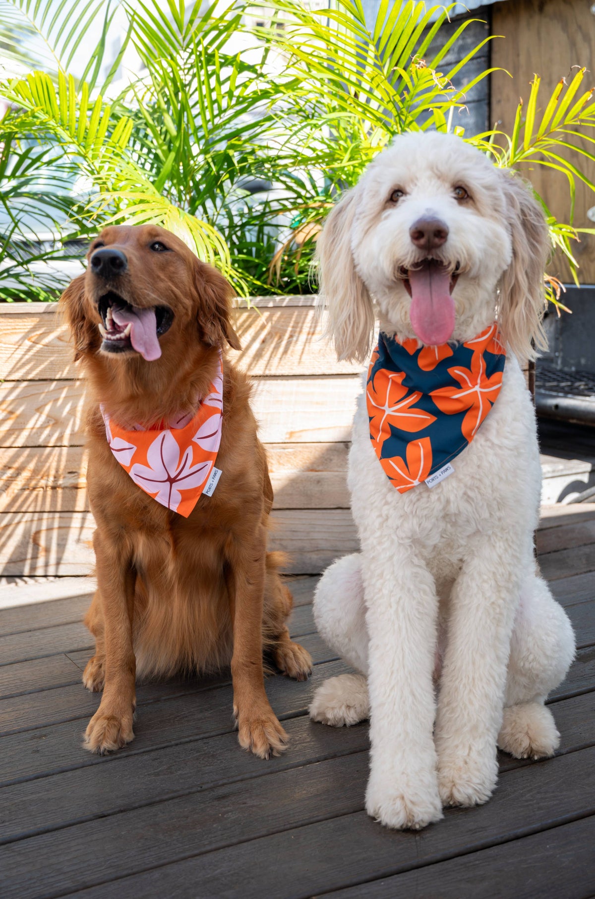 QUICK DRY BANDANA - FALL BLOOM BLUSH