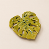 Monstera Leaf Dish