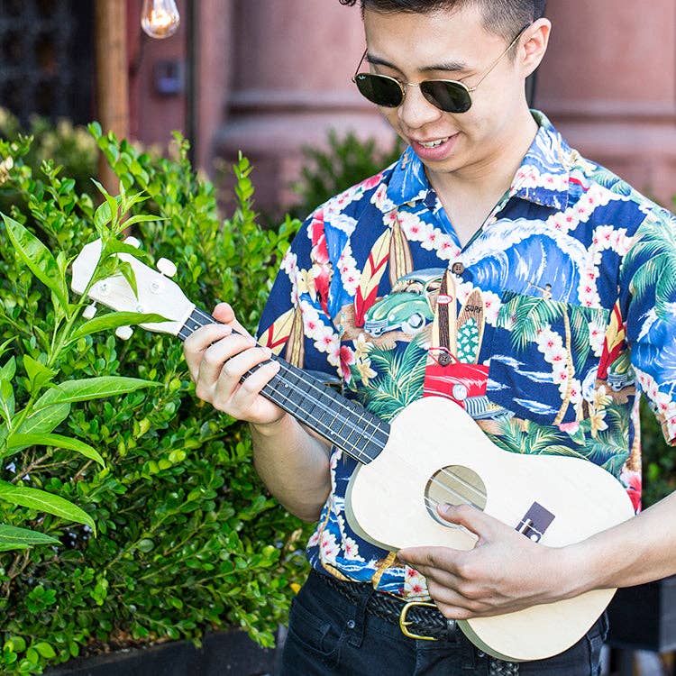 Make Your Own Ukulele