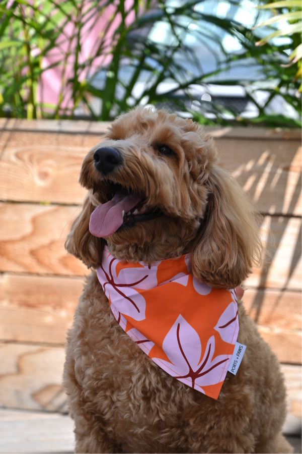 QUICK DRY BANDANA - FALL BLOOM BLUSH