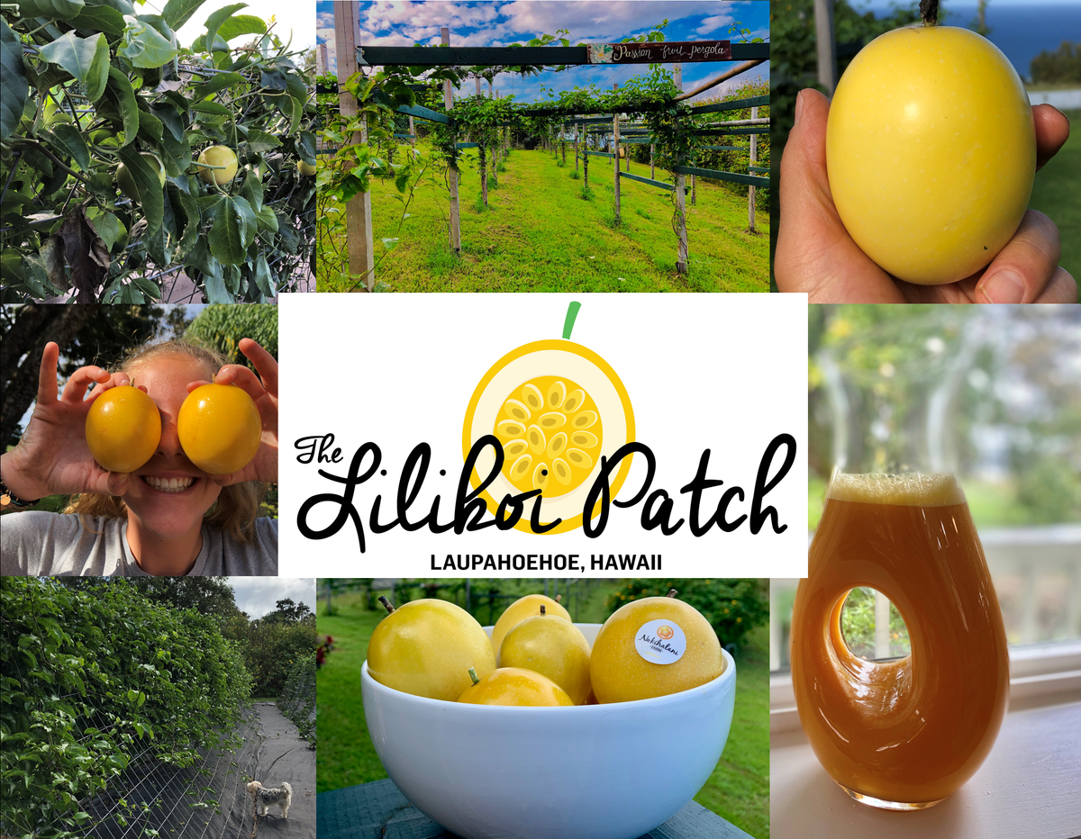 Lilikoi - Soft Dried Passion Fruit 3.5oz