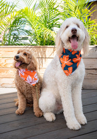 QUICK DRY BANDANA - FALL BLOOM BLUSH